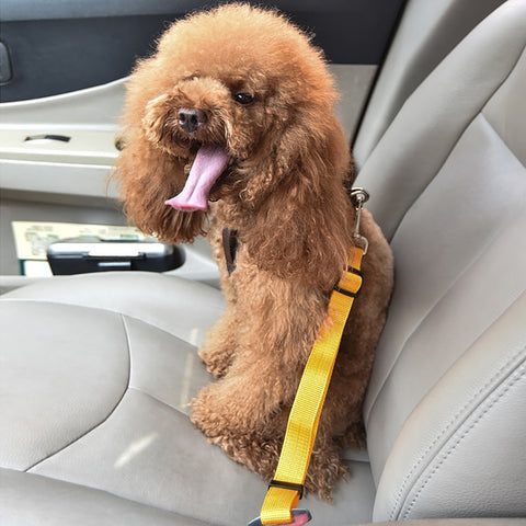 adjustable dog cat car safety belt pet vehicle seat belt leash for dogs travel traction