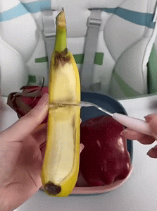 ezgif com gif maker 1 480x480 1