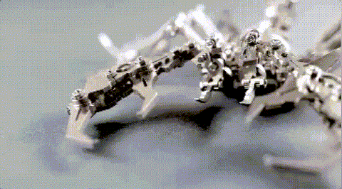 gif02 1 480x480 dc50b0d8 3c84 46a5 af9c