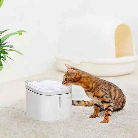 img 2 2018new xiaomi mijia kitten puppy pet water dispenser cat 2l electric pet fountain automatic smart