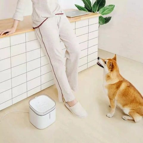 img 5 2018new xiaomi mijia kitten puppy pet water dispenser cat 2l electric pet fountain automatic smart