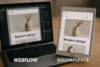 webflow vs squarespace - featured image