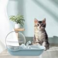 Snail Automatic Pet Water Drinking Fountain