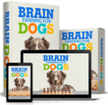 Brain Training for Dogs – Create the Obedient, Well-Behaved Pet of Your Dreams
