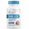 Divine Locks Complex