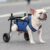 Adjustable Mobility Aid Ergonomic Dog Wheelchair