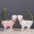 Rising Cat Ceramic Flower Pot