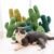 Cactus Pet Chewing Toy