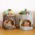 Creative Animal Life Resin Flower Pots
