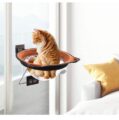 Window Mounted Pet Cat Hammock