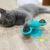 Rotatable Cat Massage Interactive Windmill Toy