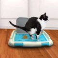 Portable Pet Toilet Training Tray