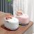 Ultrasonic Atmosphere Ring Humidifier