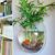 Wall Mounted Transparent Fish Tank Flower Vase