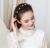 Double Bangs Butterfly Clip Headband