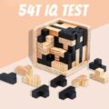 3D Educational Kid Adult Puzzle Toy