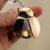 Windproof Beetle Rechargeable Plasma Lighter