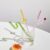 Colorful Environment Friendly Reusable Glass Straw