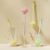 Candy Shape Magic Multifunctional Sponge