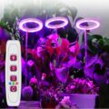 5V Phytolamp LED Plant Light