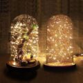 Christmas Cylinder Glass Dome Display with Wooden Base