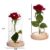 1Pcs Beast Red Rose Flower Vase
