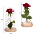 1Pcs Beast Red Rose Flower Vase