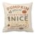 Pumpkin Spice Fall Halloween Pillow Cases
