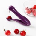 Cherry Pitter Remover Gadget