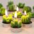 12Pcs Cactus Aroma Candle
