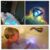 Bathtub Decorative Disco Lights