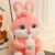 Sweet Bottle-Hugging Bunny Plush