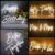 Creative LED Neon Decoration Lights