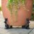 Resin Animal Plant Pot Planter Support Feet